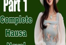 Zubar Hawaye Part 1 Complete Hausa Novels by Billy Galadanci txt