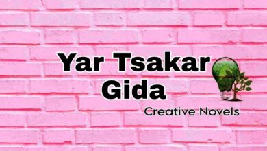 Yar Tsakar Gida Part 1 Complete Hausa Novel By Maman Teddy txt