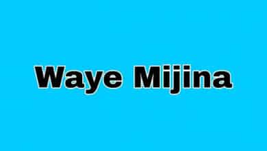 Waye Mijina Book 1 Complete Hausa Novel txt